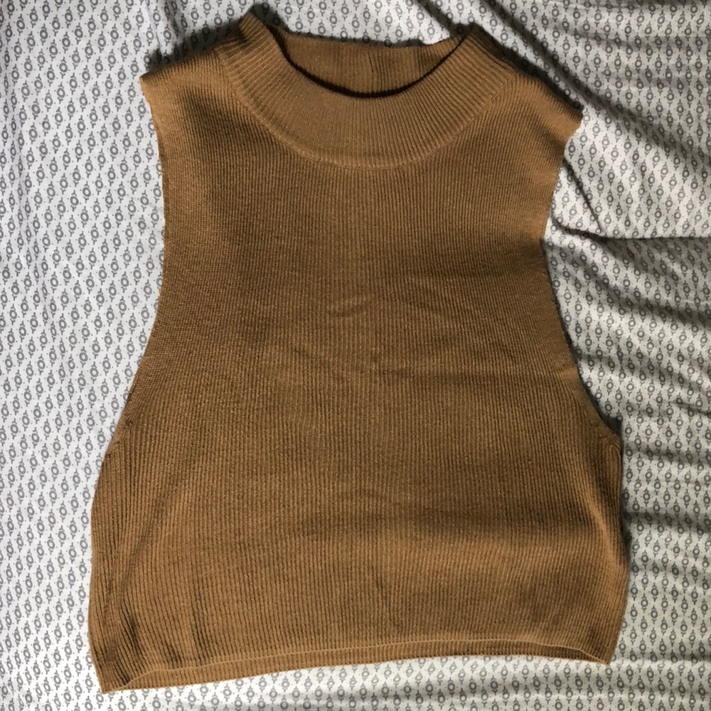Topshop Cropped Knit Turtleneck